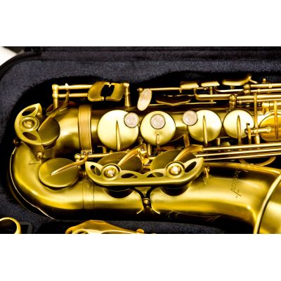 SAXO ALTO BRESSANT AS-202 ORO VIEJO
