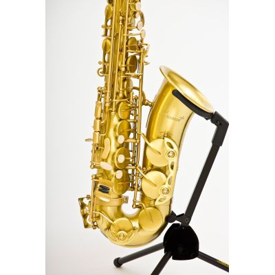 SAXO ALTO BRESSANT AS-202 ORO VIEJO