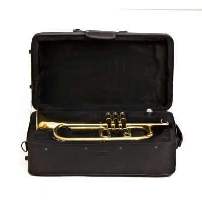 FLISCORNO BRESSANT LKFLG-101
