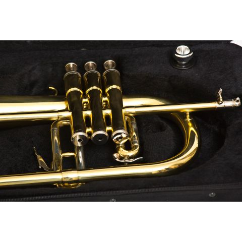 FLISCORNO BRESSANT LKFLG-101