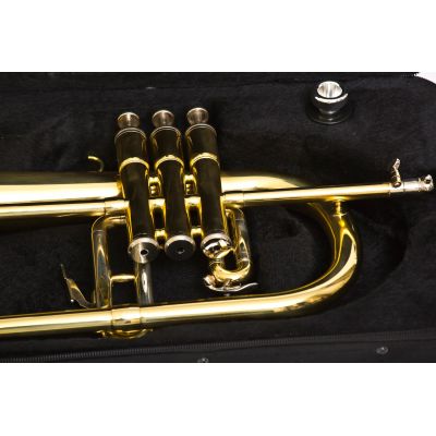 FLISCORNO BRESSANT LKFLG-101