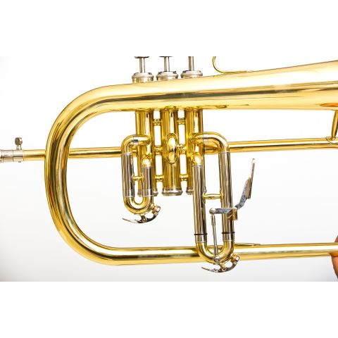 FLISCORNO BRESSANT LKFLG-101
