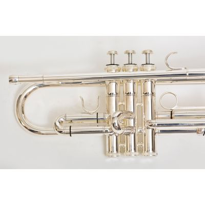 Trompeta Bressant Plateada TR-210S