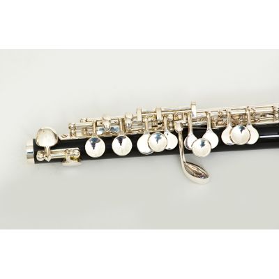 FLAUTIN BRESSANT LKPL-102S