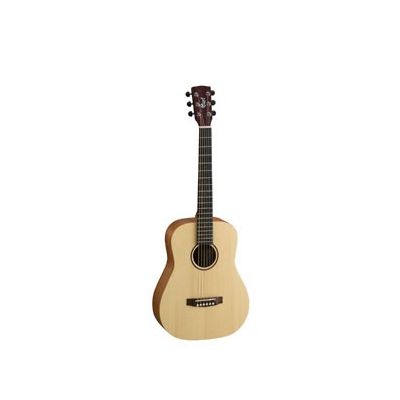 Cort Earth mini