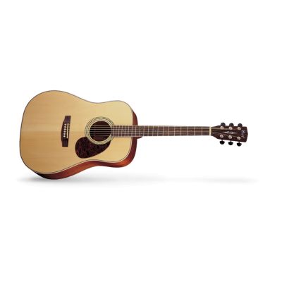 Cort EARTH100 NS