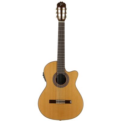 Jose Torres JTC-20CE Electrificada