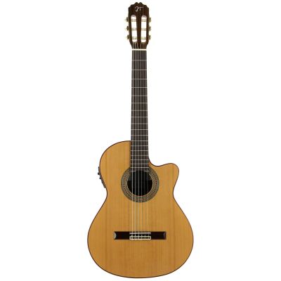 Jose Torres JTC-30CE