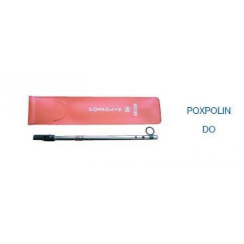 POXPOLIN o TXISTU EN DO