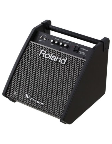ROLAND PM-100 Monitor Bateria