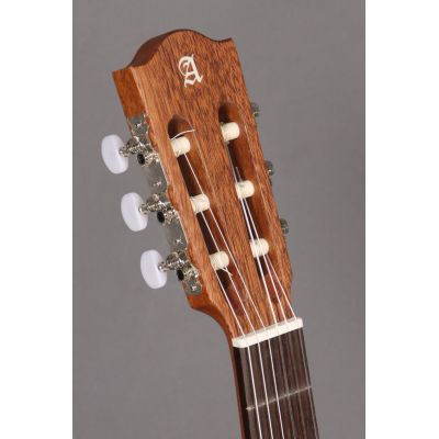 Alhambra z nature ct estrecha electrificada clavijero