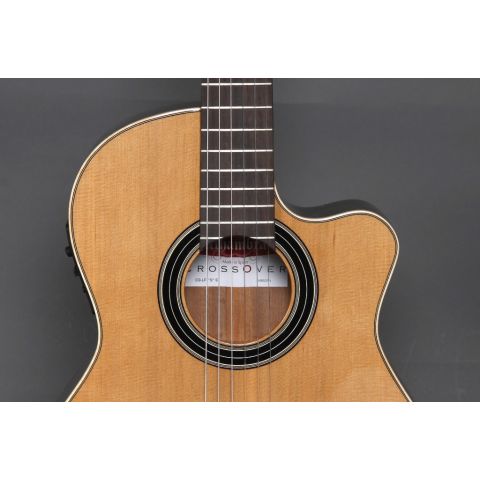 Alhambra CS-LR CW ELECTRIFICADA FISHMAN E1