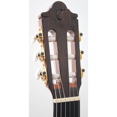 Camps FL11C NEGRA ABETO PRO-BLEND