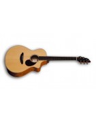 Guitarras Acústicas - Tienda de Instrumentos Musicales Online