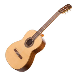 Guitarra española y flamenca