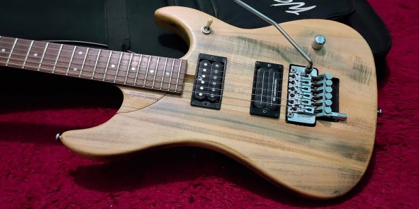 Washburn N2-Nuno vs Washburn N24. La leyenda de un genio
